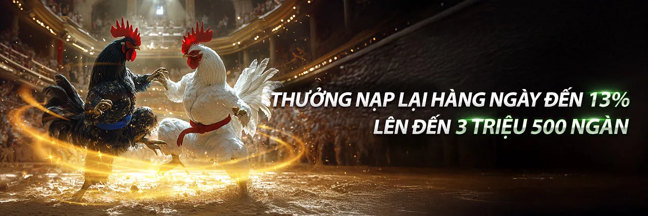 Sân đấu đá gà trực tuyến ải sun win sôi động