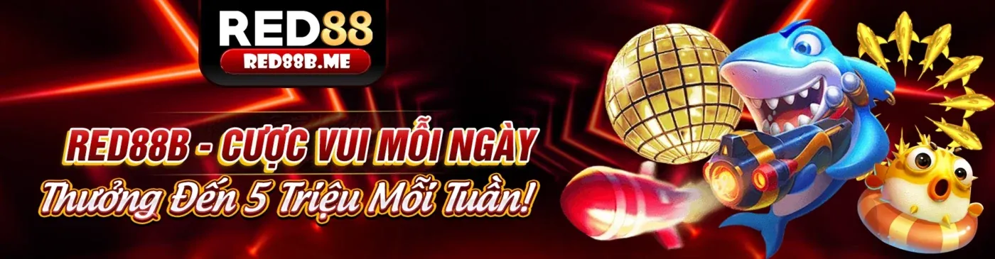 Chương Trình Hoàn Trả Hàng Tuần ải sun win